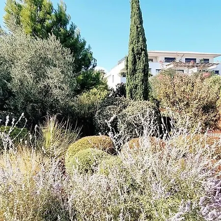 Superb With Swimming Pool Domaine D'arca Casa vacanze Porto Vecchio