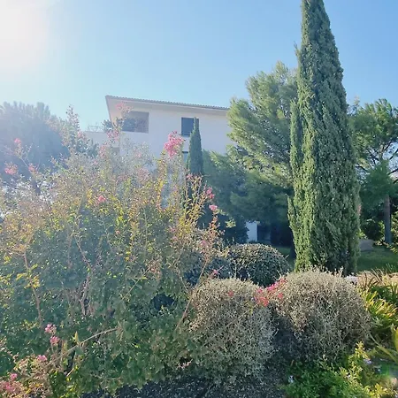 Superb With Swimming Pool Domaine D'arca Vakantiehuis *